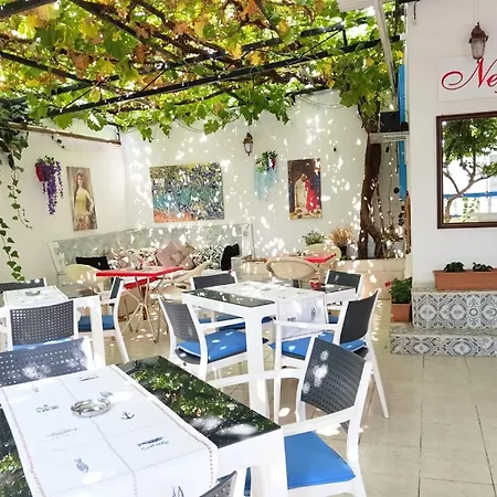 Pensión Nese 3*