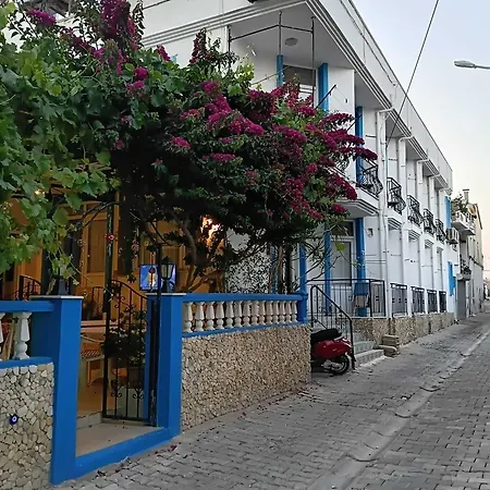 Nese