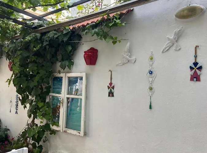 Nese Πανσιόν 2*